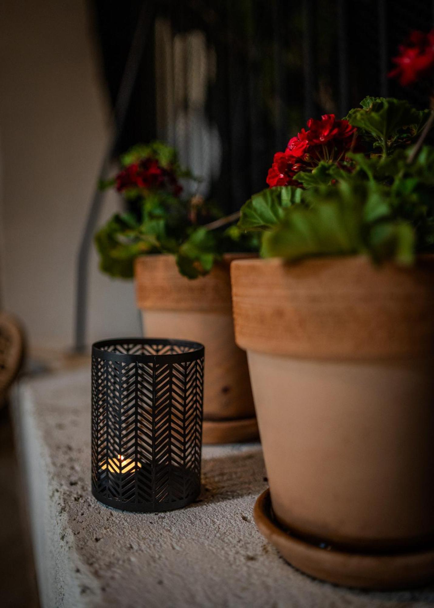 Amaro Luxury Room & Studio Apartman With Balcony Zadar Bagian luar foto